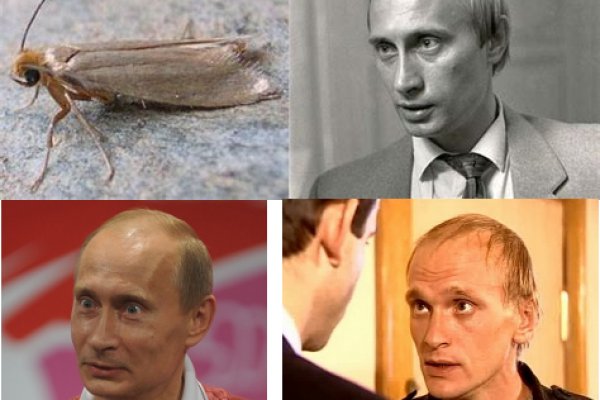 Legalrc как зайти