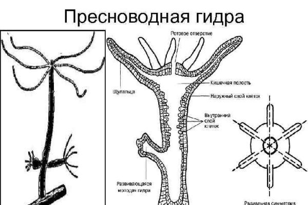 Кракен что продают