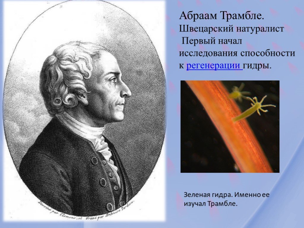 Что такое кракен в даркнете